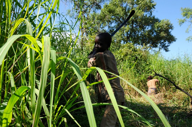 Nine-year-old John Ajugo helps his mother and aunt to clear the brush from their newly allocated plot at the Maaji refugee settlement. (Carolyn Thompson)