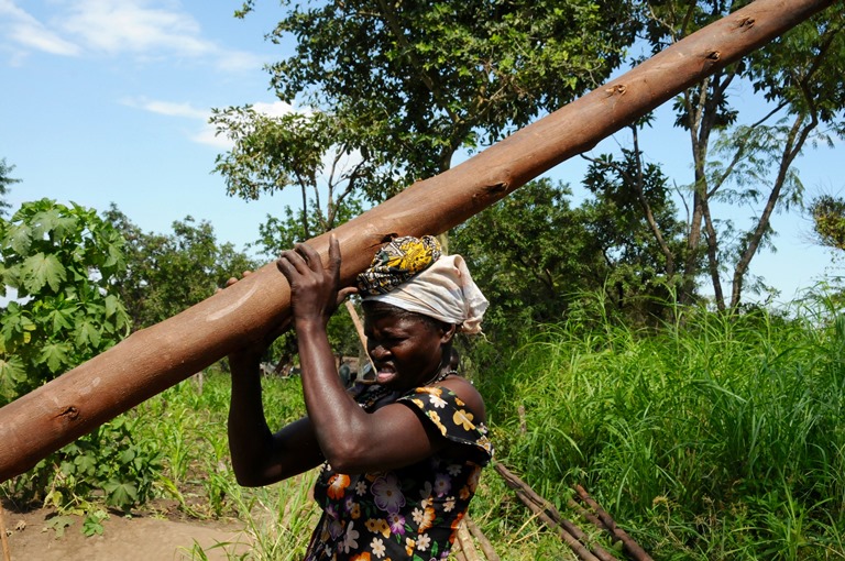 A South Sudanese refugee carries a pole she can use to build shelter on her plot at Maaji refugee settlement. (Carolyn Thompson)