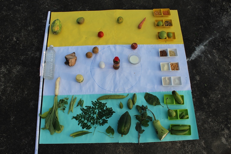 Cooking the Colors of India’s Flag to Fight Malnutrition — Malnutrition ...