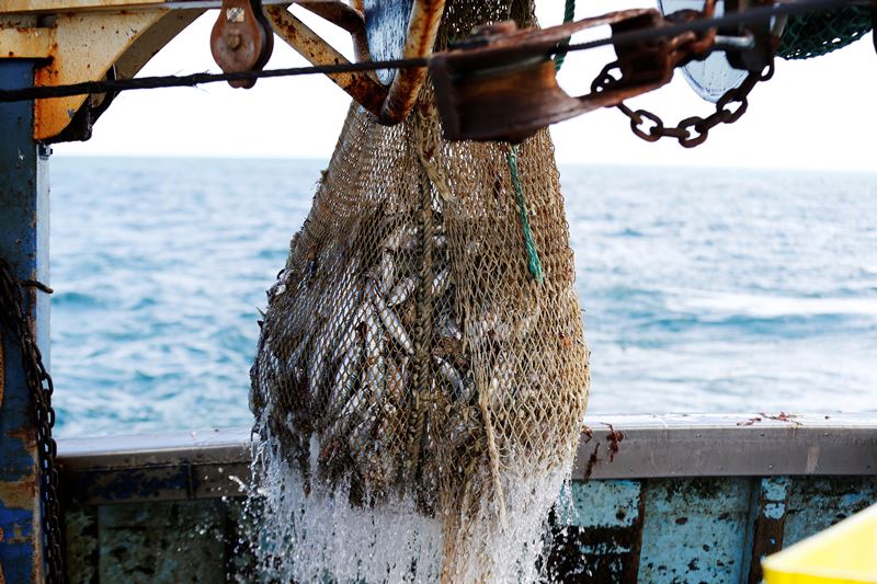 Rich and Poor Divide: Which Nations Benefit From Global Fishing ...
