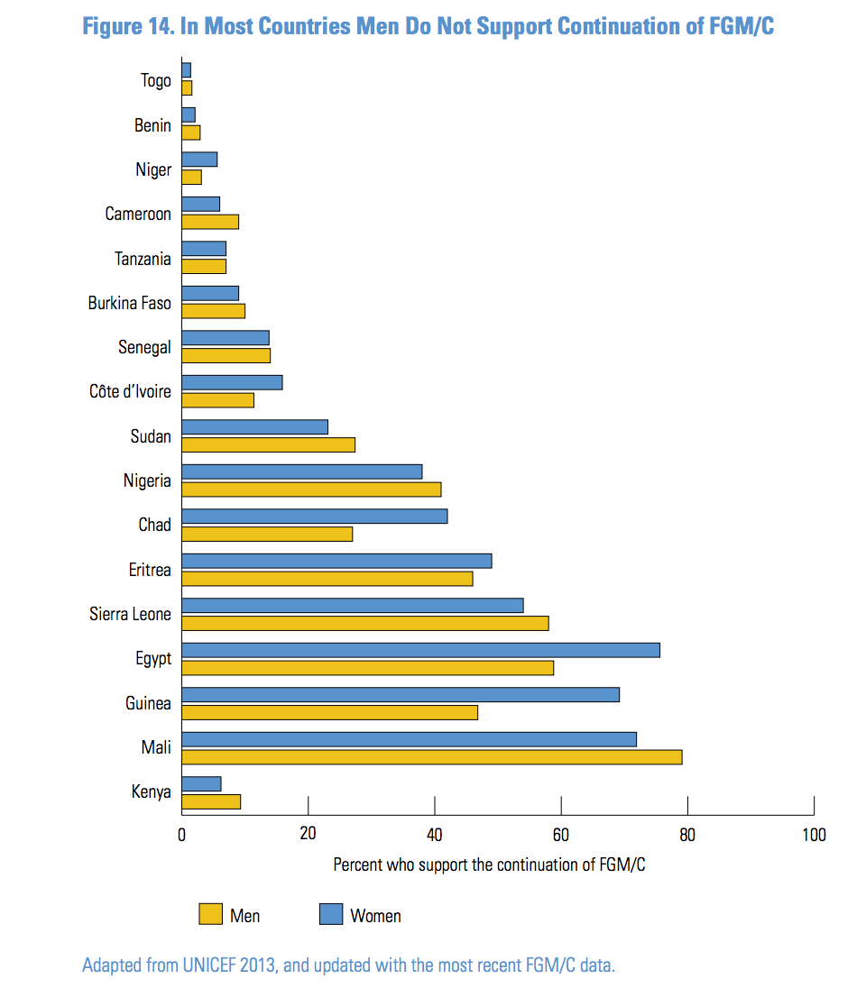 In Egypt, Guinea, Ivory Coast, Chad, Eritrea and Niger, fewer men than women report support for the continuation of FGM. (Population Council/UNICEF)