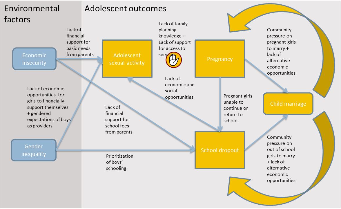 The ICRW report condenses researchers findings into a map showing the pathways to child marriage and ways to disrupt them. (ICRW)